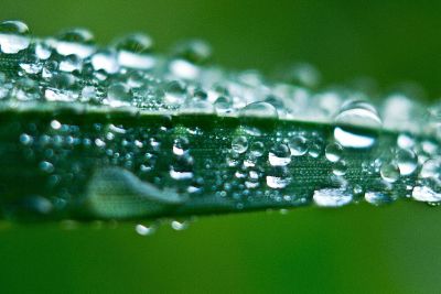 close up of droplets of water on grass