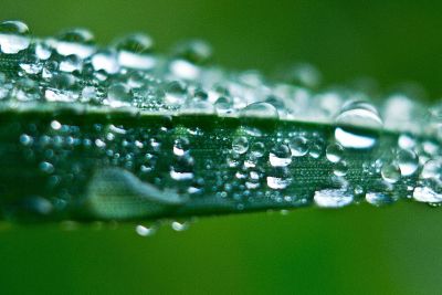 close up of droplets of water on grass