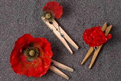 clothes pin flowers