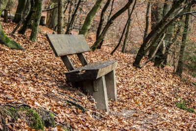 hillside bench