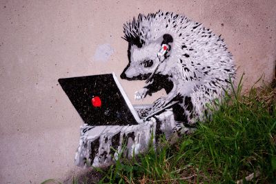 hedgehog on laptop