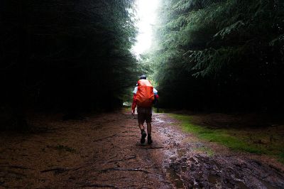 man walking in forest