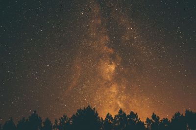 beautiful night stars above treetops