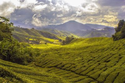 rolling pastures and hills