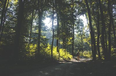 man hiking through the woods