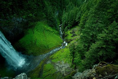 waterfall flowing into trees