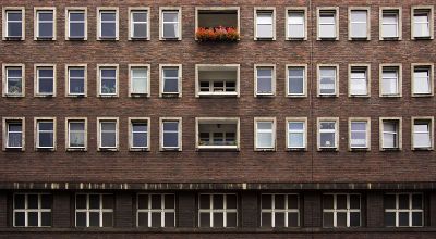 solitary decorated window flowers