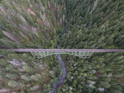 aerial of bridge and forest