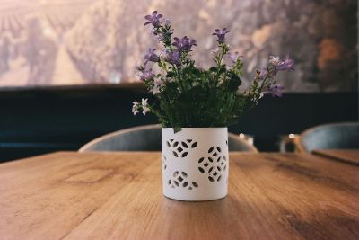 purple flowers in vase