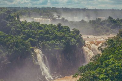 river with water falls and forrest