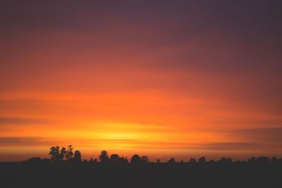 sunset beyond trees