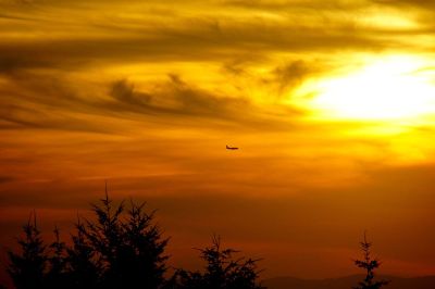 plane at dusk