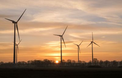 windfarm on a sunset