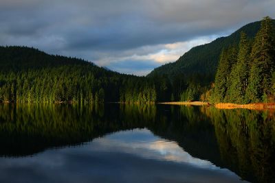 lake and forest view