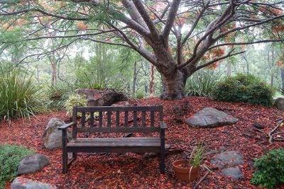 park in autumn