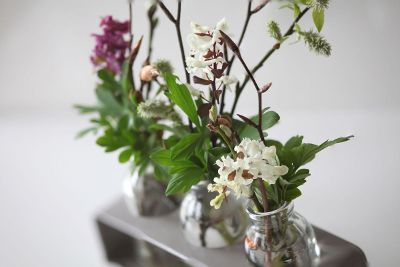 flowers in small vases