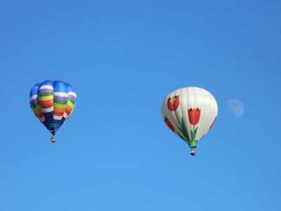 hot air balloons in sky