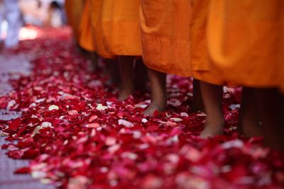 people standing in flower petals