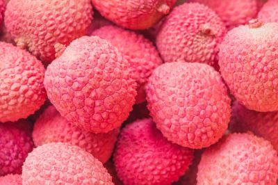 close up of berries