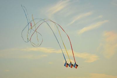 kites in the sky