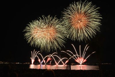 firework over water