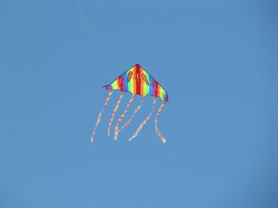 kite in flight
