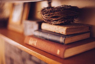 book pile topped with bird nest