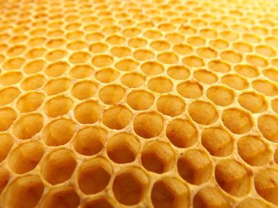 beehive honeycomb
