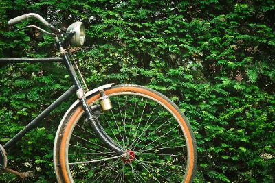 boys bike in front of bushes