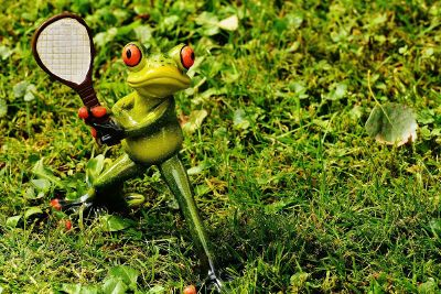 frog playing tennis