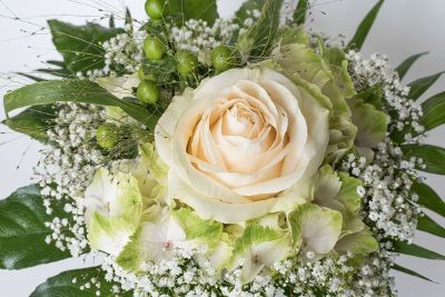 cream rose in flower arrangement