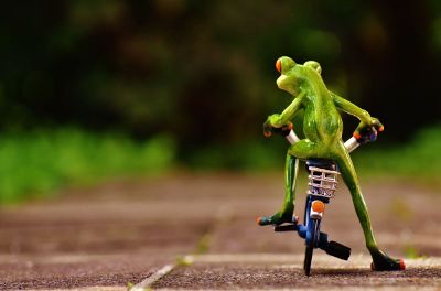 frog on tiny bicycle with basket