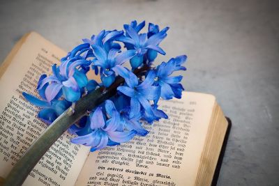 flowers on book