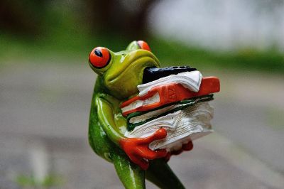 frog figurine with stack of books