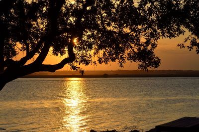 serene view of lake