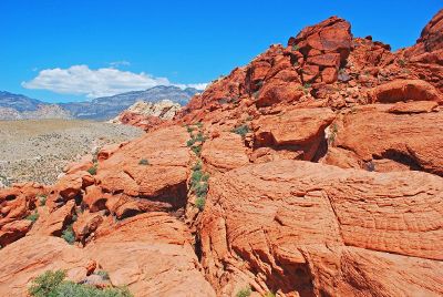 rock formation in the desert