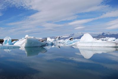 icebergs in a sea