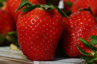 red ripe strawberries