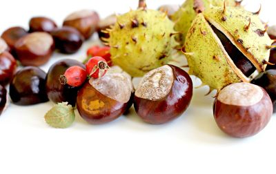 exotic fruit