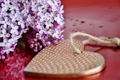 lilacs and heart on red plate