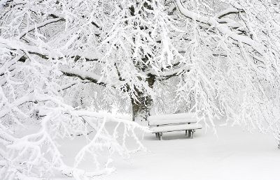 snowy bench