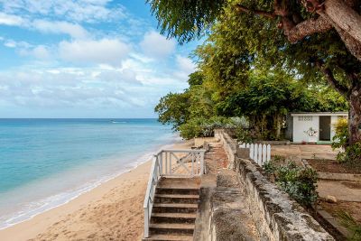 beach with trees