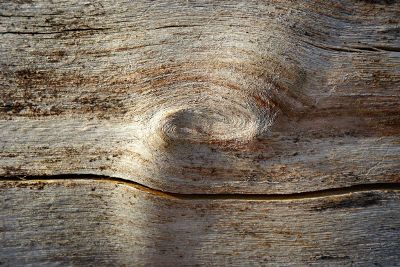 knot in wood