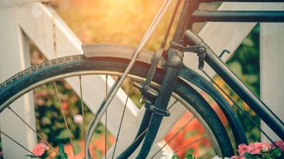 old bicycle in front of magic landscape