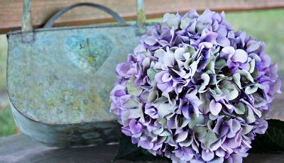 purple bouquet