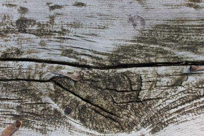 upclose weathered driftwood