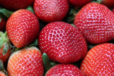 fresh red strawberries