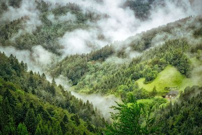 peaceful hillside