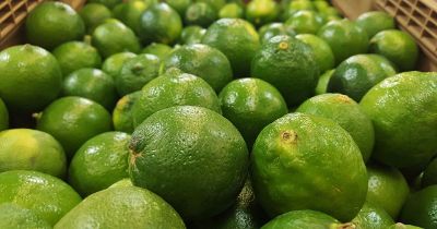container of limes