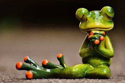 praying frog